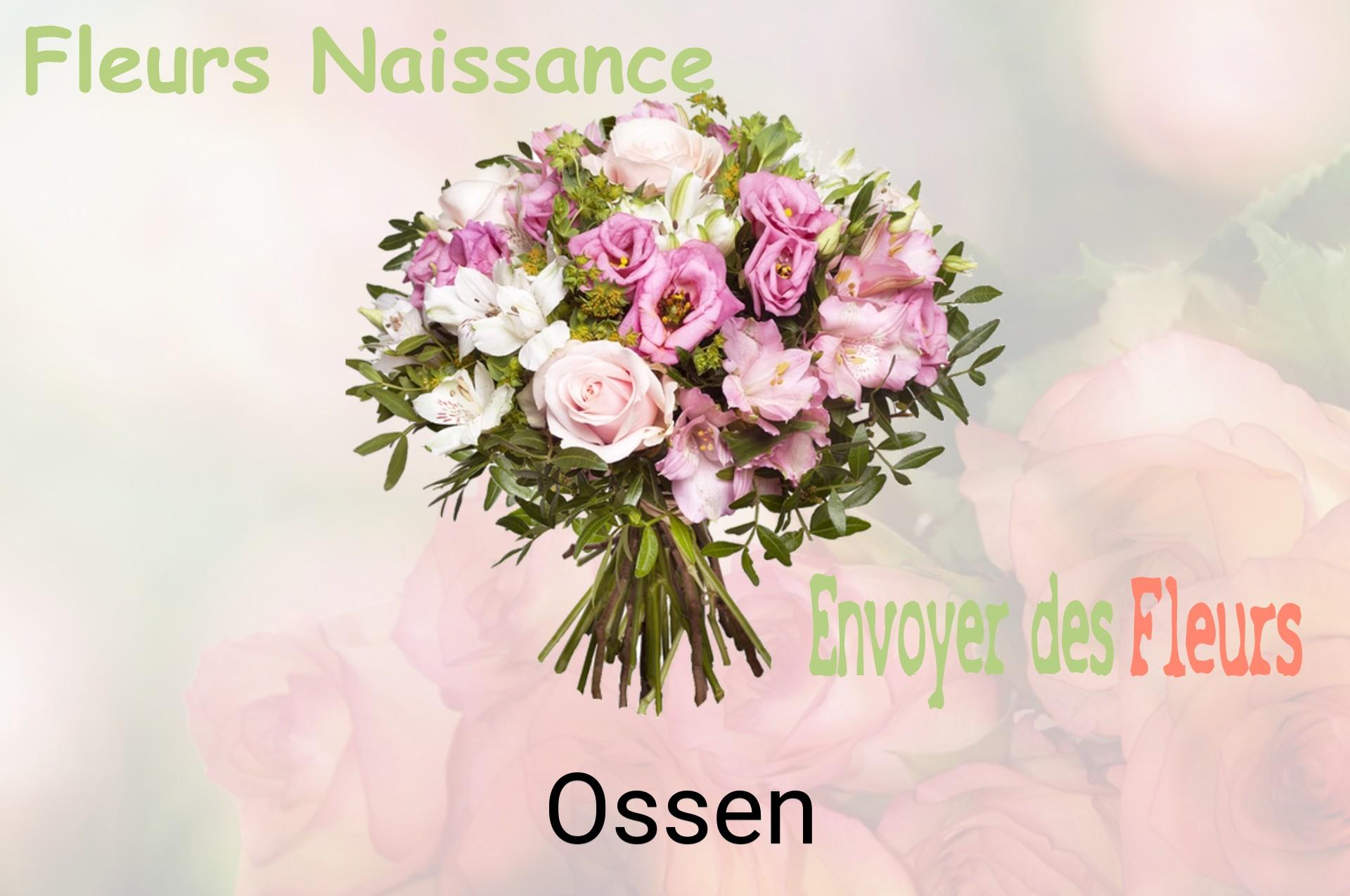 Bouquet de fleurs de naissance livré à Ossen